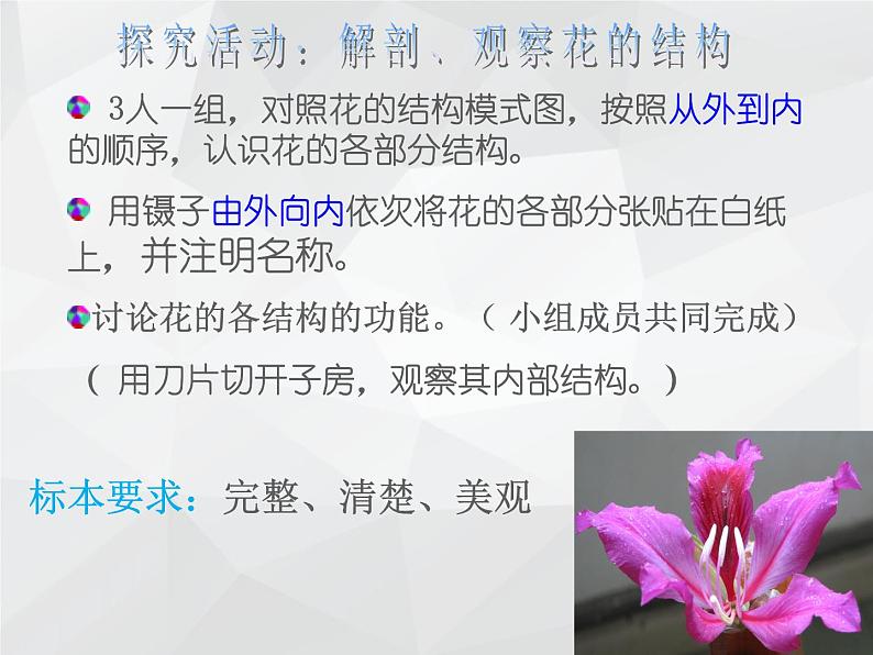 2021--2022学年北师大版七年级上册3.6.3生殖器官的生长课件第4页