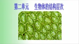 2021-2022学年人教版七年级生物上册2.1.1 练习使用显微镜 课件