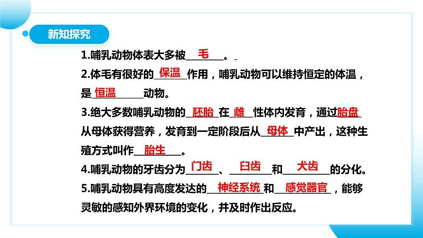 人教版初中生物八年級上冊5.1.7《哺乳動物》課件第5頁