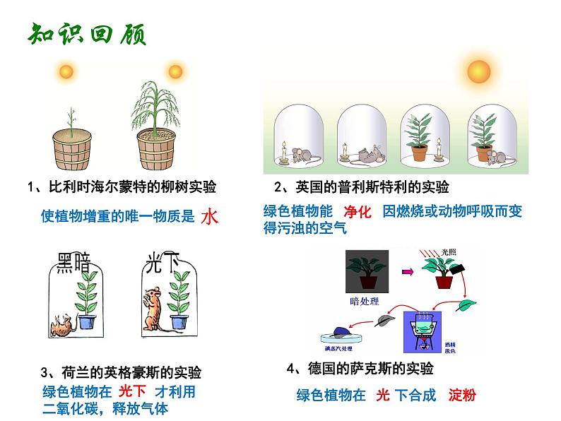 2021--2022学年北师大版生物七年级上册3.5.1 光合作用(2) 课件第2页