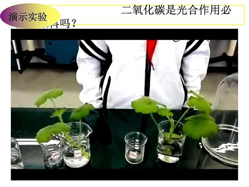 2021--2022学年北师大版生物七年级上册3.5.1 光合作用(2) 课件第6页