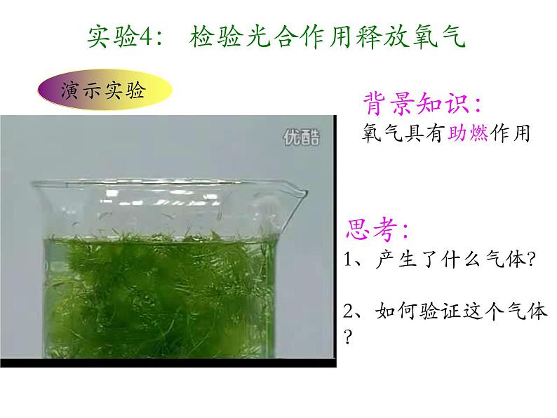 2021--2022学年北师大版生物七年级上册3.5.1 光合作用(2) 课件第8页