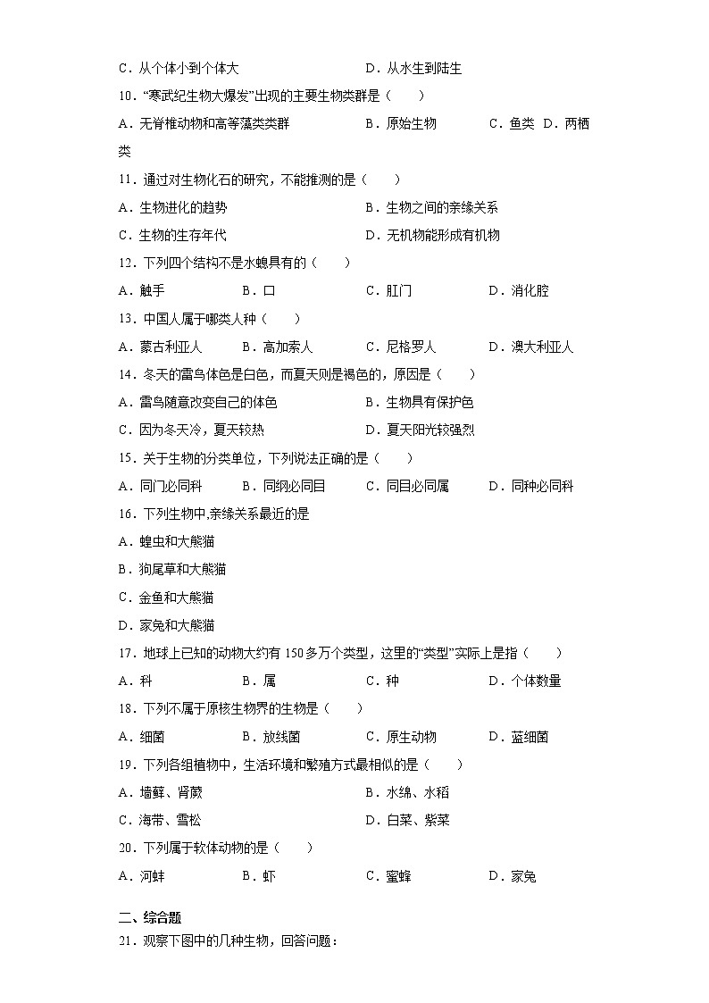 河南省商丘市柘城縣2020-2021學(xué)年八年級下學(xué)期期中生物試題（word版 含答案）第2頁