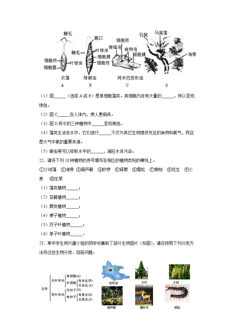 河南省商丘市柘城縣2020-2021學(xué)年八年級下學(xué)期期中生物試題（word版 含答案）第3頁