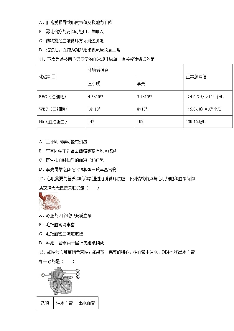 山东省潍坊市寒亭区2020-2021学年七年级下学期期中生物试题(word版 含答案)第3页