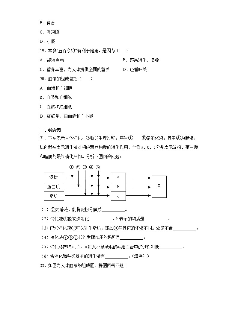河南省商丘市柘城县2020-2021学年七年级下学期期中生物试题(word版 含答案)第3页