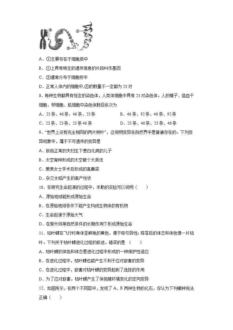 江西省赣州市全南县2020-2021学年八年级下学期期中生物试题(word版 含答案)第2页