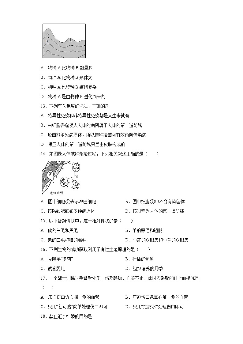 江西省赣州市全南县2020-2021学年八年级下学期期中生物试题(word版 含答案)第3页