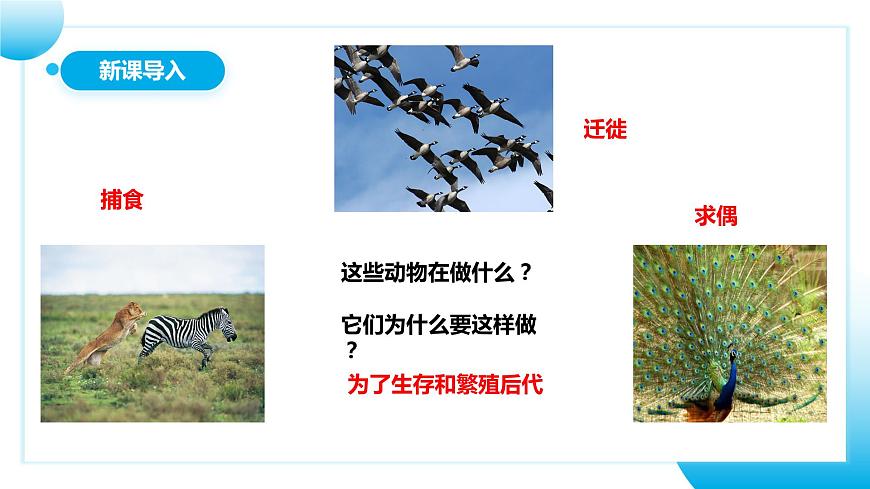 人教版初中生物八年級上冊5.2.1《動(dòng)物的運(yùn)動(dòng)》課件第3頁