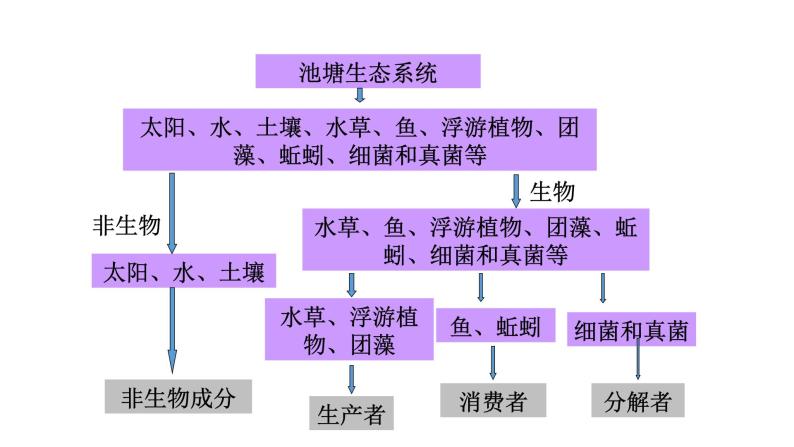 第十九章生态系统 19.1生态系统的组成 PPT课件04