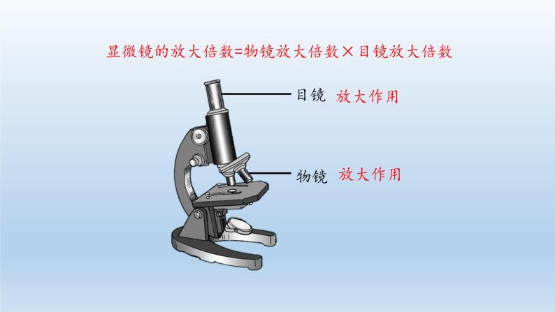 第一章开启生物科学之门：1.1 走进生物实验室  PPT课件07