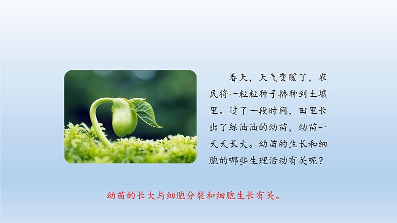 第二章生物体的结构层次:2.1.4 细胞的分裂和生长 PPT课件02