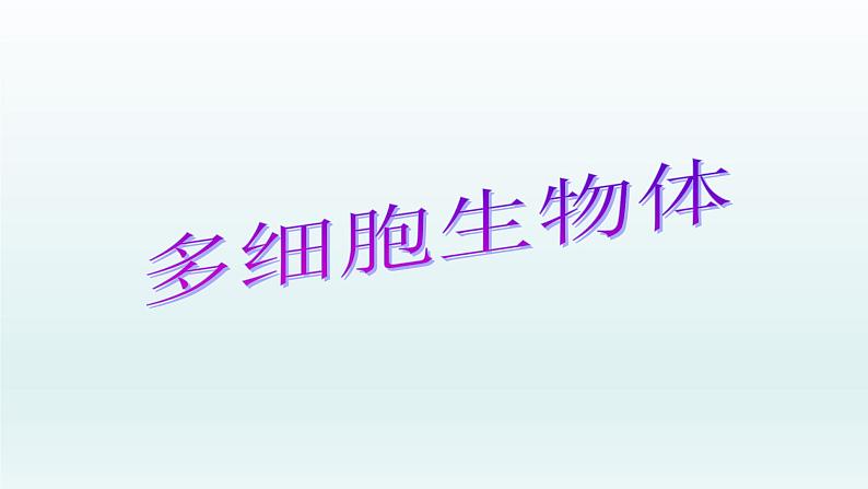 第二章生物体的结构层次:2.3 多细胞生物体 PPT课件01