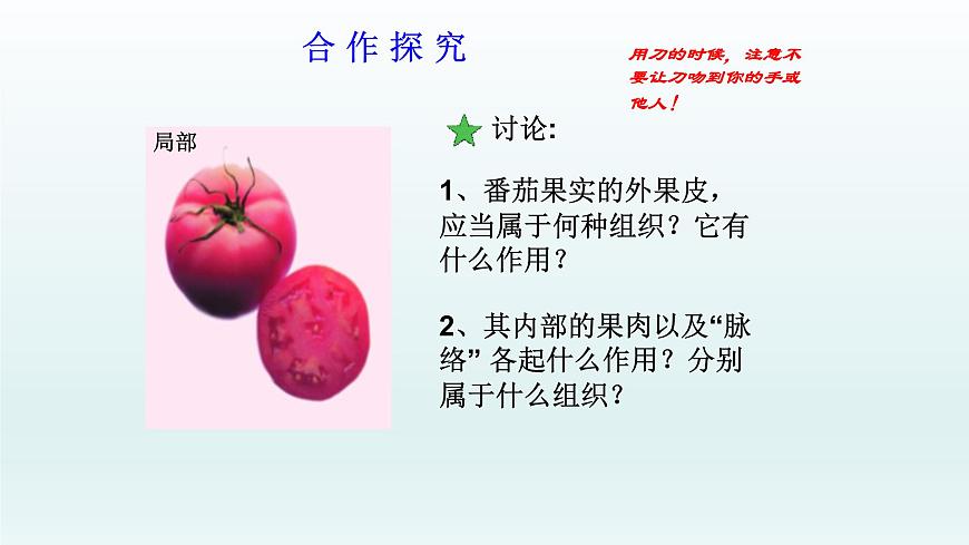 第二章生物體的結構層次：2.3 多細胞生物體  PPT課件第2頁