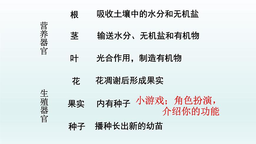 第二章生物體的結構層次：2.3 多細胞生物體  PPT課件第5頁