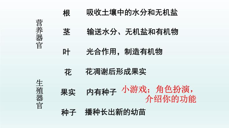 第二章生物体的结构层次：2.3 多细胞生物体  PPT课件05