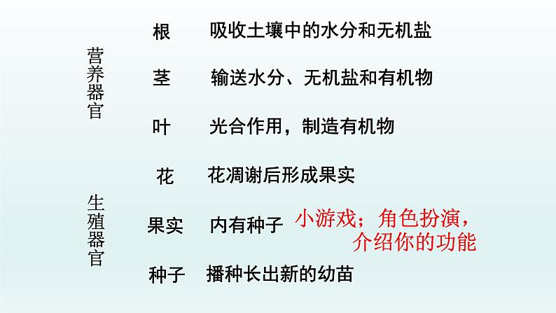 第二章生物体的结构层次:2.3 多细胞生物体 PPT课件05