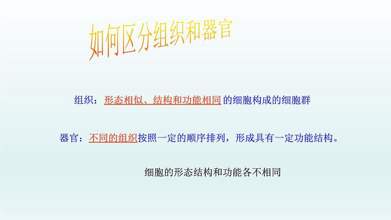 第二章生物体的结构层次:2.3 多细胞生物体 PPT课件07