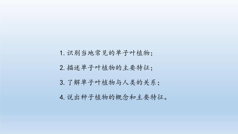 第三章形形色色的植物：3.6.2 单子叶植物  PPT课件03