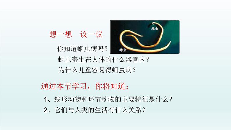 第四章多种多样的动物:4.3 线形动物和环节动物 PPT课件02