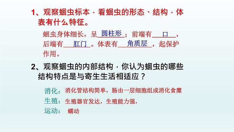 第四章多种多样的动物:4.3 线形动物和环节动物 PPT课件04