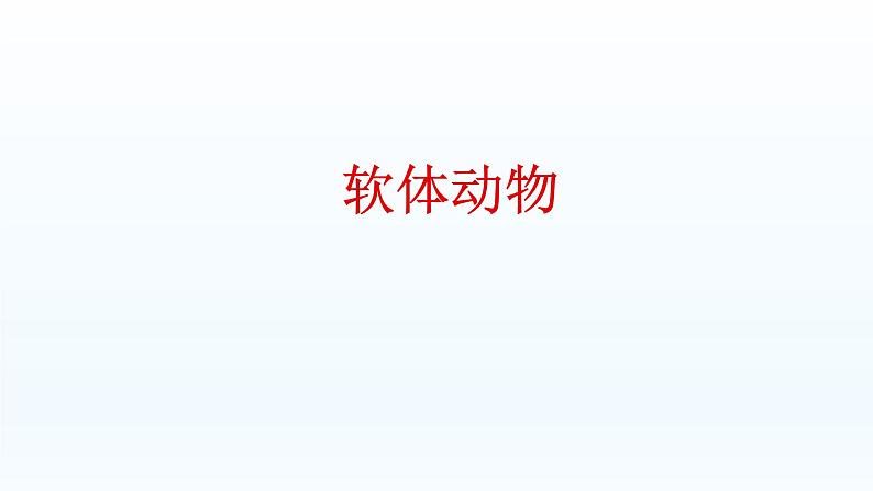 第四章多种多样的动物:4.4 软体动物 PPT课件第1页
