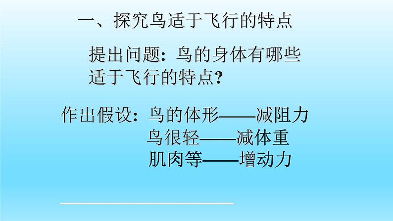 第四章多种多样的动物:4.8 鸟类 PPT课件第8页