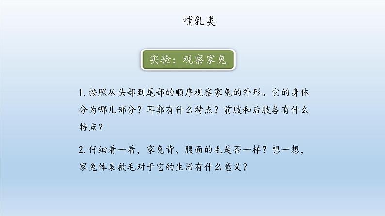 第四章多种多样的动物:4.9 哺乳类 PPT课件04