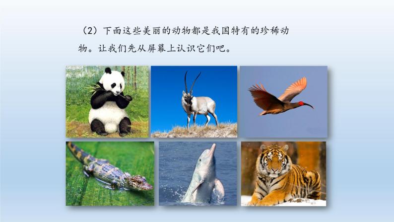 第四章多种多样的动物：4.10 我国的珍稀动物  PPT课件05