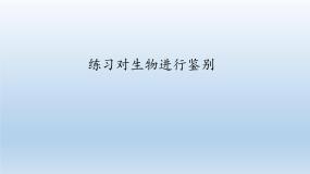 冀教版七年级上册第二节 练习对生物进行鉴别图片课件ppt
