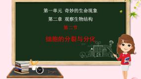 初中生物济南版七年级上册第二节 细胞的分裂与分化课文配套课件ppt