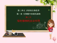 第一章生物圈中的绿色植物 第3节绿色植物的光合作用 PPT课件