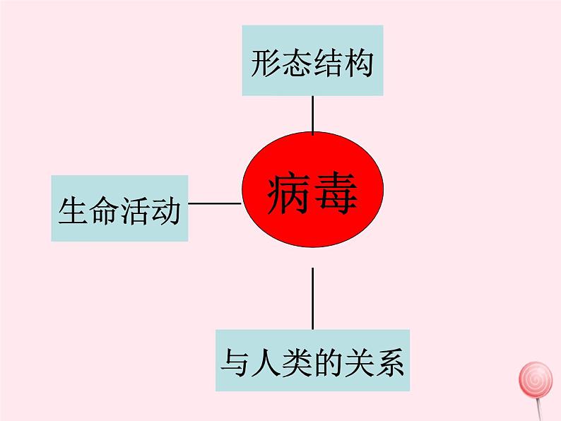 第三章生物圈中的微生物 第1节病毒 PPT课件第2页