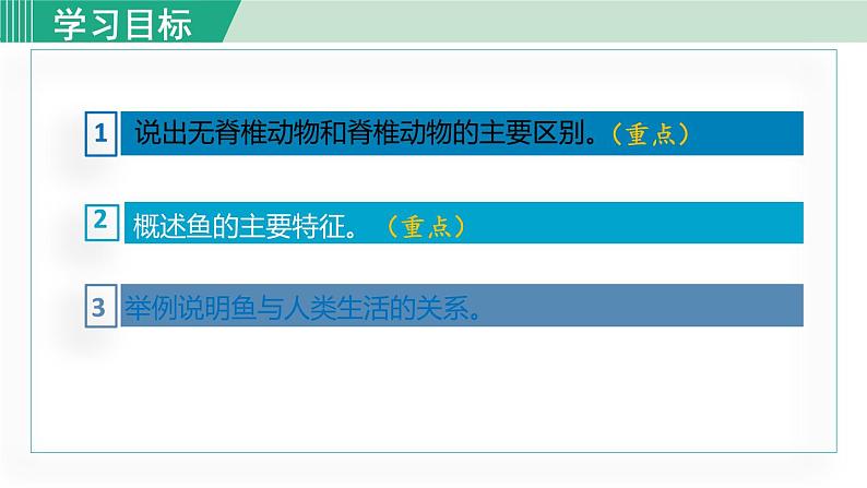 人教版八年级生物上册 第五单元 第一章 动物的主要类群 第四节 鱼 课件第3页