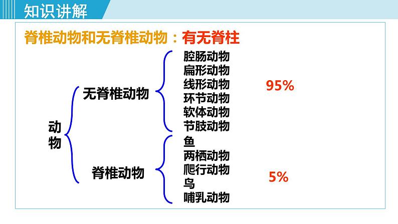 人教版八年级生物上册 第五单元 第一章 动物的主要类群 第四节 鱼 课件第5页
