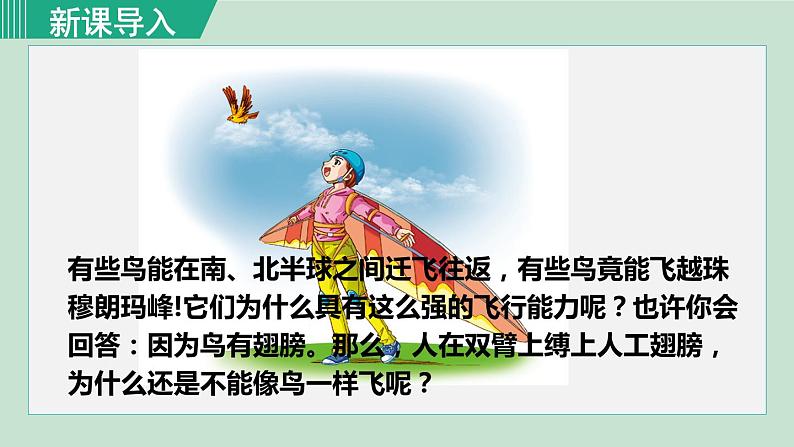 人教版八年级生物上册 第五单元 第一章 动物的主要类群 第六节 鸟 课件第1页
