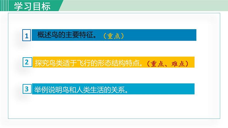 人教版八年级生物上册 第五单元 第一章 动物的主要类群 第六节 鸟 课件第3页