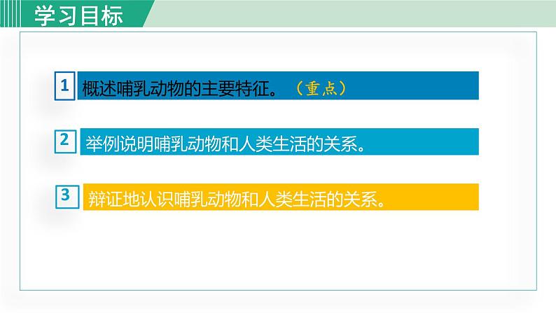 人教版八年级生物上册 第五单元 第一章 动物的主要类群 第七节哺乳动物 课件第3页