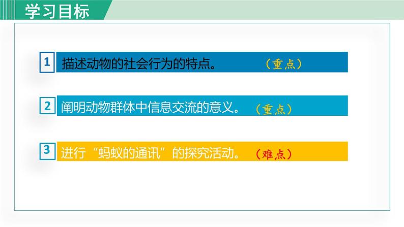 人教版八年级生物上册 第五单元 第二章 动物的运动和行为 第三节 社会行为 课件03