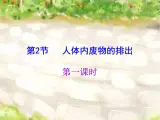 苏科版八年级上册生物  15.2人体内废物的排出 课件