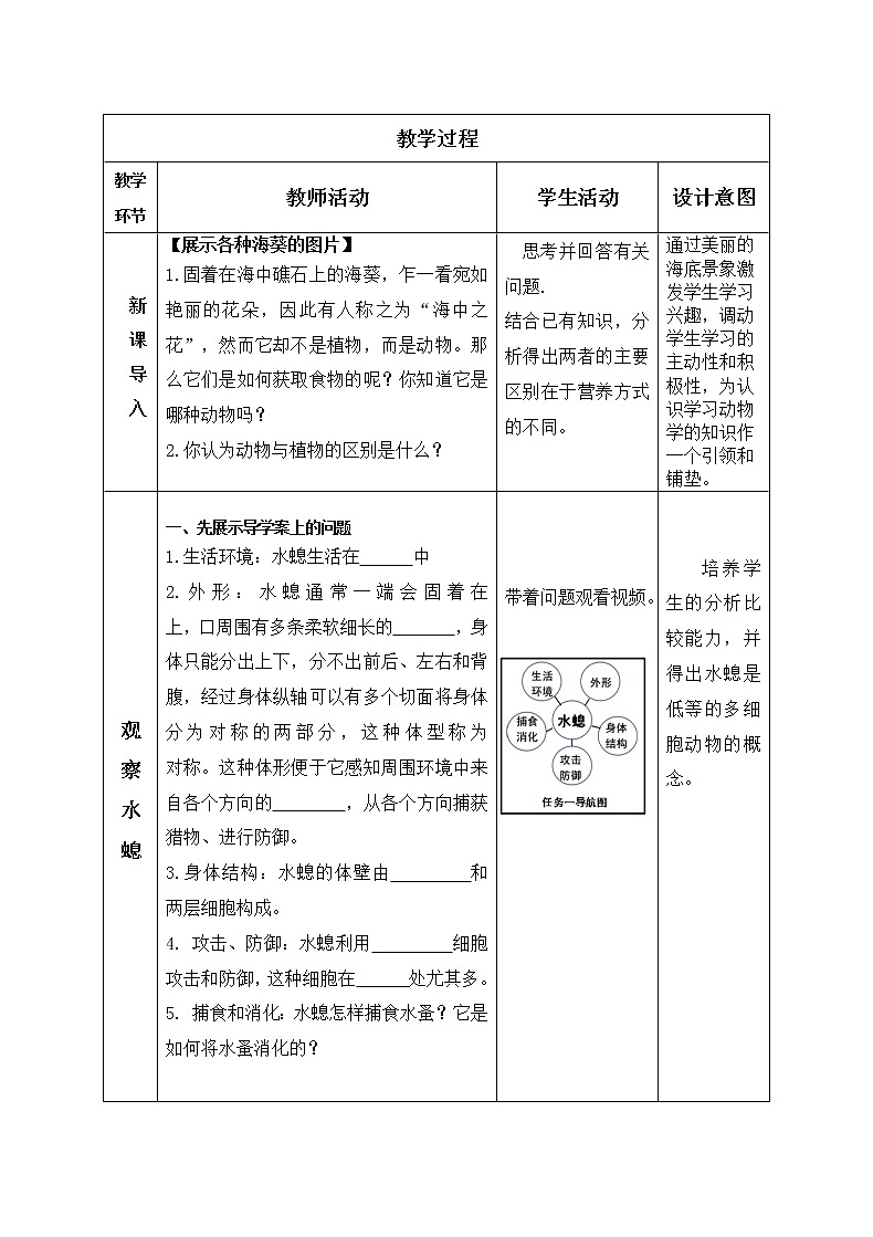冀教版七年級生物上冊第四章《第二節(jié) 腔腸動物和扁形動物》教案第2頁