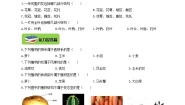 冀教版七年级上册第一节  在实验室里观察植物当堂检测题