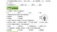 2020-2021学年第六节 被子植物第1课时复习练习题