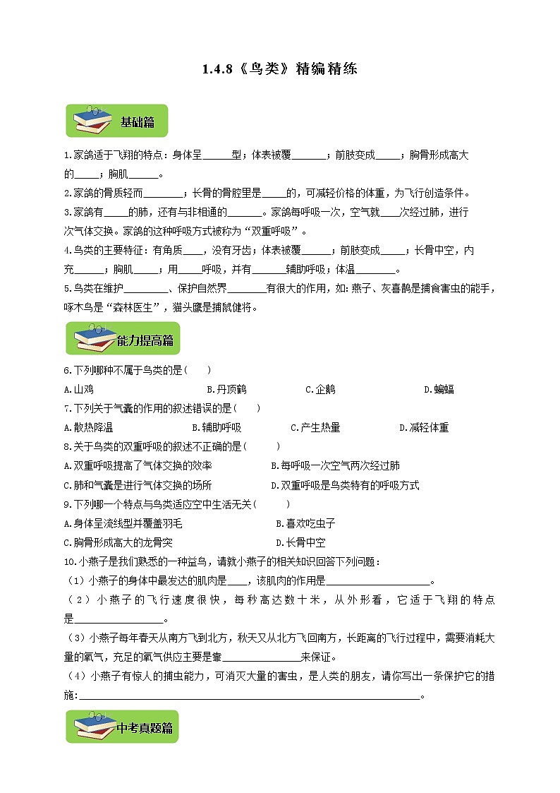 第四章 多种多样的动物 4.8《鸟类》同步练习01