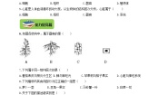 初中生物冀教版七年级上册第三节 多细胞生物体课后练习题