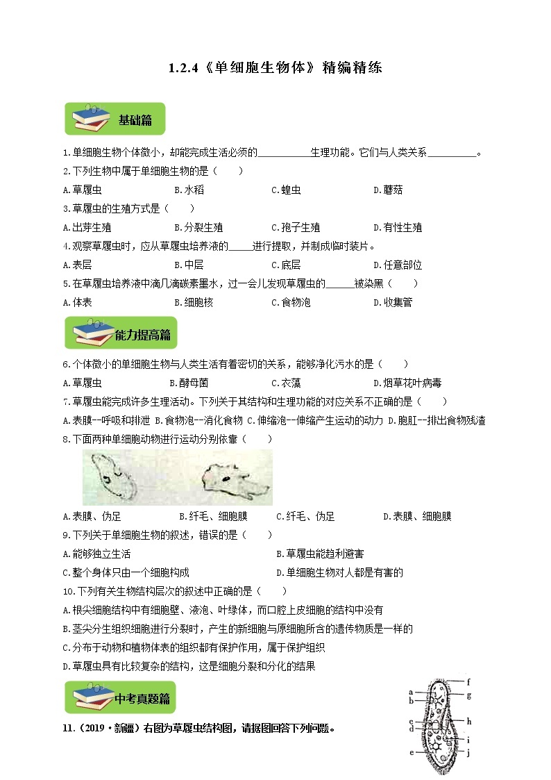 第二章 生物体的结构层次 2.4《单细胞生物体》同步练习01