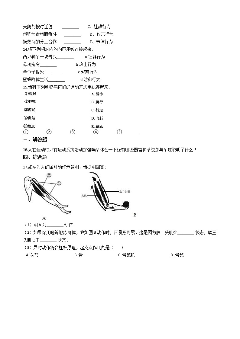 2.2.3 动物的运动 同步测试(含解析)02