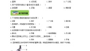 初中生物冀教版七年级上册第一单元  我们身边的生命世界第一章  开启生物科学之门第一节  走进生物实验室同步测试题