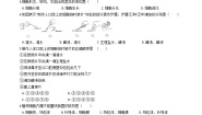 济南版七年级上册第一单元 奇妙的生命现象第二章  观察生物结构第三节 多细胞生物体的结构层次随堂练习题