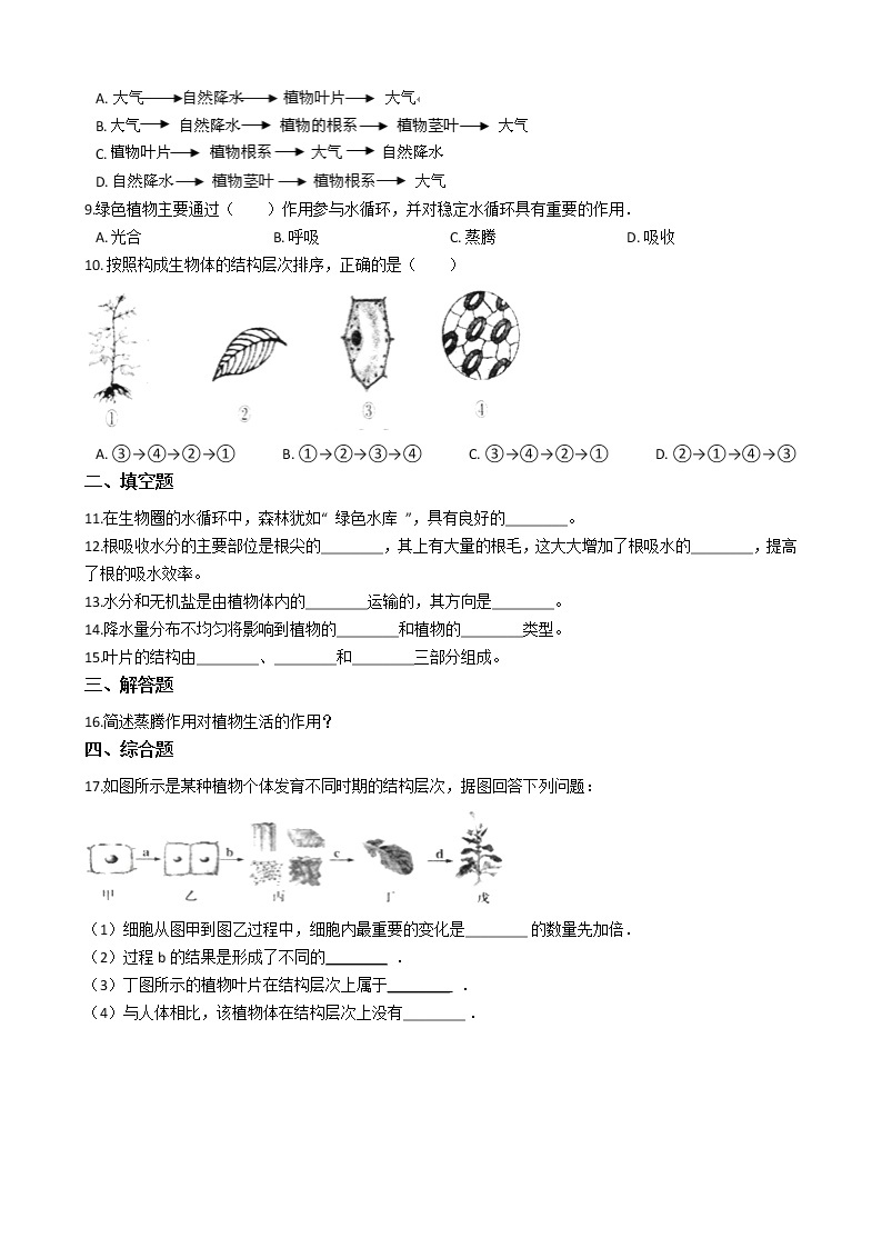 2.1.2 绿色植物的蒸腾作用 同步测试（含解析）02